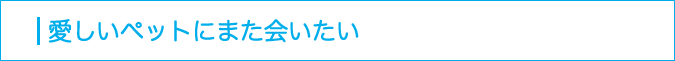 愛しいペットにまた会いたい