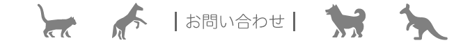 お問い合わせ